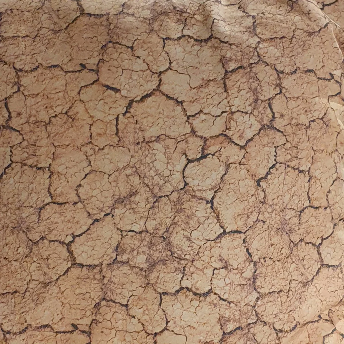 Cojín Lanzarote 48x48cm con funda de algodón orgánico - Imagen 6