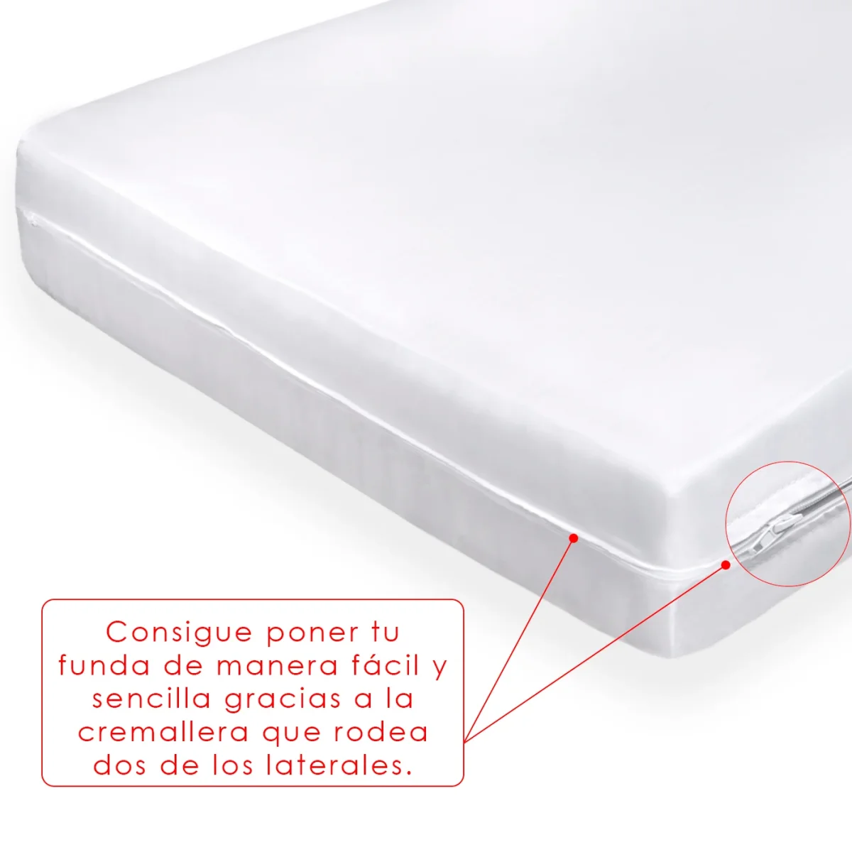 Funda de colchón 50%Algodón 50%Poliéster, cierre con cremallera. - Imagen 5