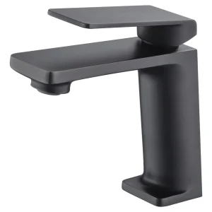 Grifo de Lavabo IMEX FIYI BDF016-1NG Negro Mate