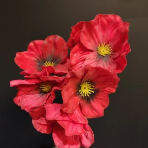 Manojo Anemonas rojas