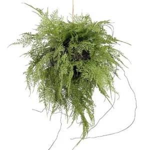 Colgante Asparagus