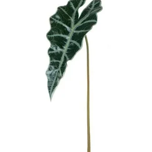 Hoja Alocasia Pe. 83 Cm. Verde.