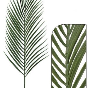 Rama de palmera areca