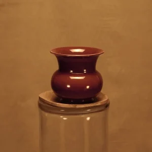 Jarrón tinto de celadón tailandés estilo retro