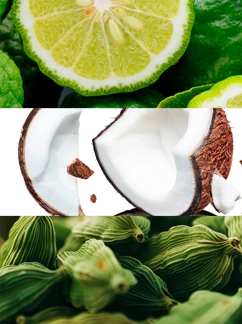 White Summer - Imagen 4