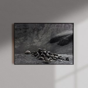 Fotografía (núm. 11) - Solecker