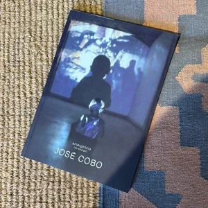 EMERGENCIA (DE EMERGER) JOSÉ COBO (GALERÍA FERRAN CANO)