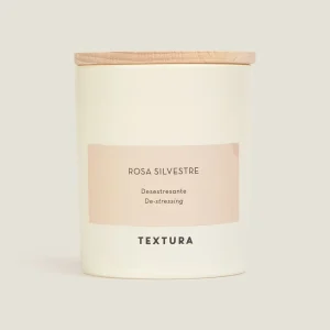 Vela rosa silvestre Vela